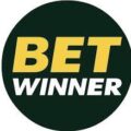 BetWinner